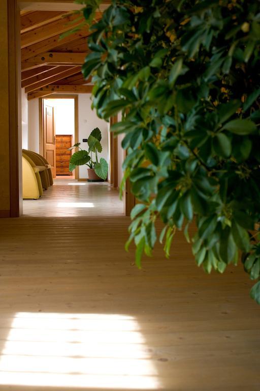 Agriturismo Al Casale Кодроїпо Екстер'єр фото