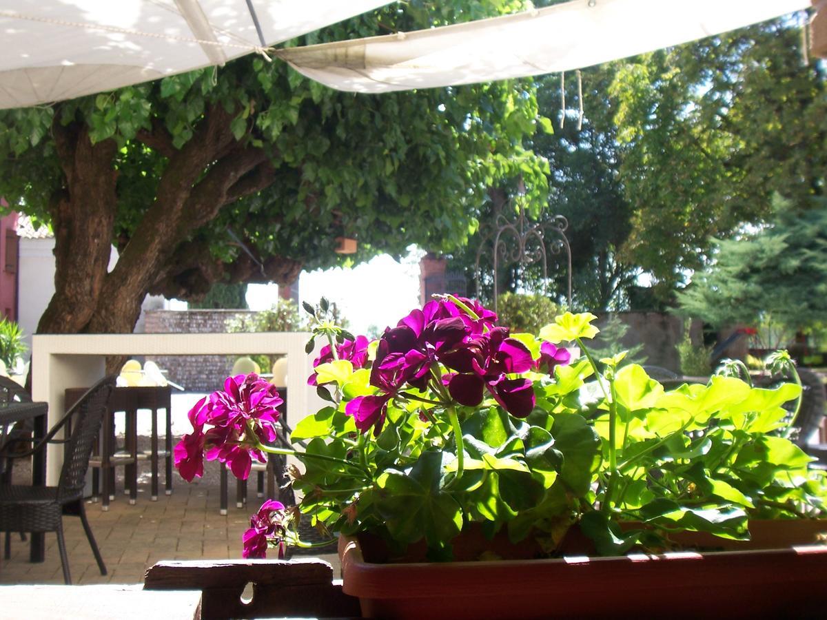 Agriturismo Al Casale Кодроїпо Екстер'єр фото